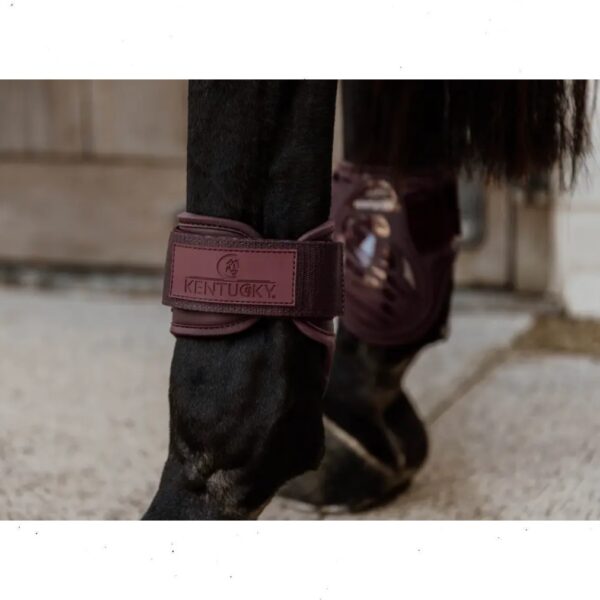 Kentucky tagajalakaitsmed YOUNG HORSE FETLOCK BOOTS - Image 5