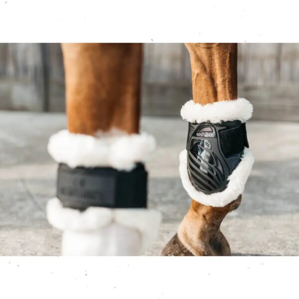 Kentucky tagajalakaitsmed VEGAN SHEEPSKIN YOUNG HORSE FETLOCK BOOTS - Image 4
