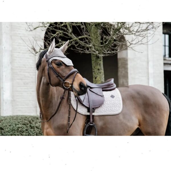Kentucky kõrvad WELLINGTON BASIC VELVET - Image 5