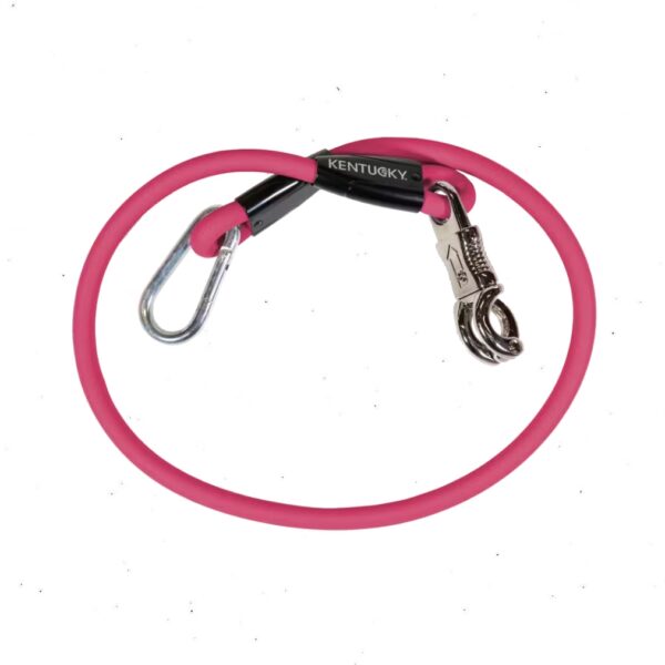 Kentucky nöör HORSE BOX LEAD & CROSS TIES SILICONE 55cm - Image 3