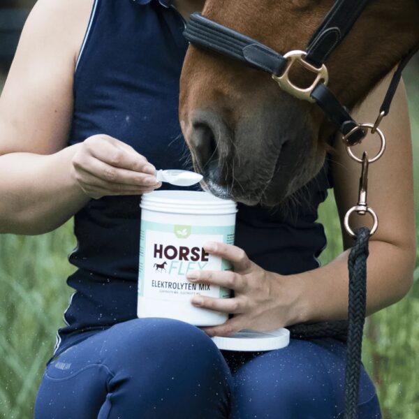 Horseflex elektrolüüdid ELECTROLYTE MIX - Image 3