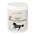 Waldhausen MAGNESIUM FORTE 1KG